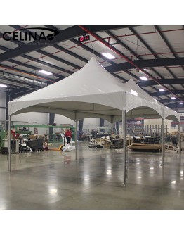 Celina High Peak Frame Tent Party Tents for Events Wedding Tents Outdoor for Sale Rental Waterproof and Windproof